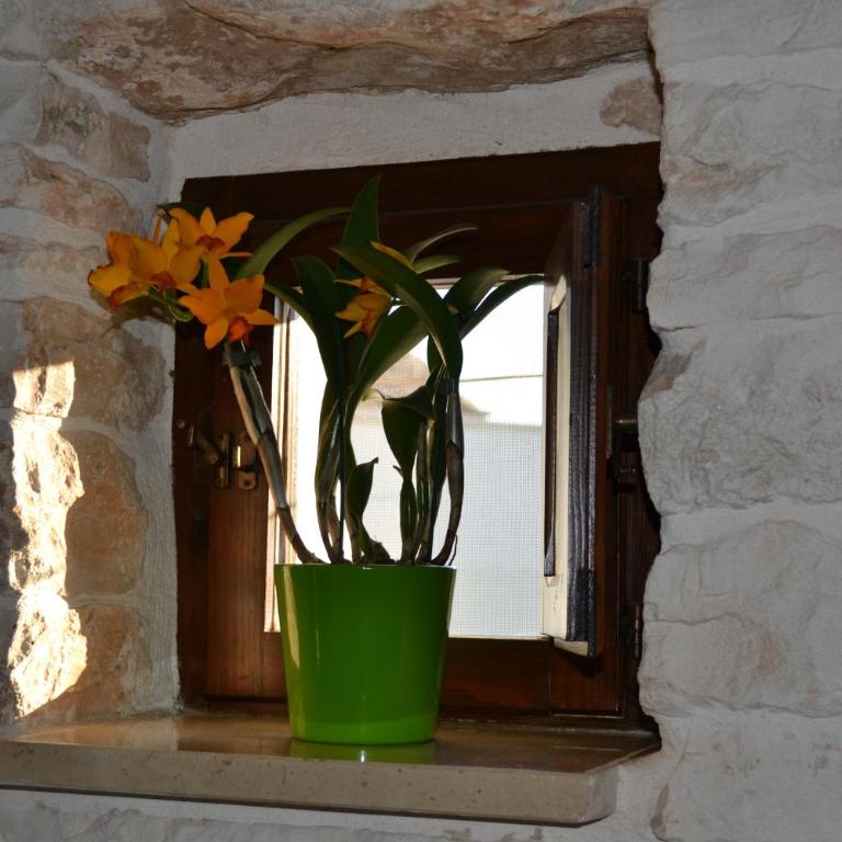Trulli Aia Piccola - Casa con 1 Camera da Letto - 24