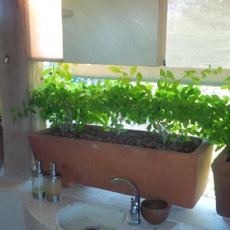 Villa Maria Bed and Breakfast - Suite con cama extragrande - 3