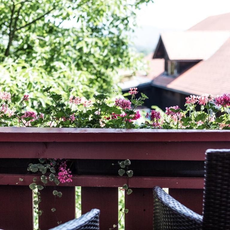 Salzburg Hotel Holznerwirt - Comfort Einzelzimmer mit Gartenblick - 4