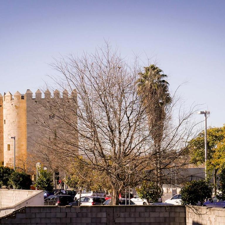 Apartamento La Calahorra a 100m de la feria de Córdoba - Studio Apartment - 37