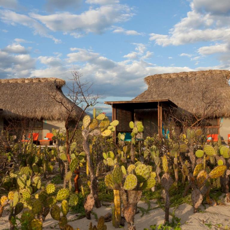 Hotel Escondido, Puerto Escondido - Adults Only - Bungalow - 6