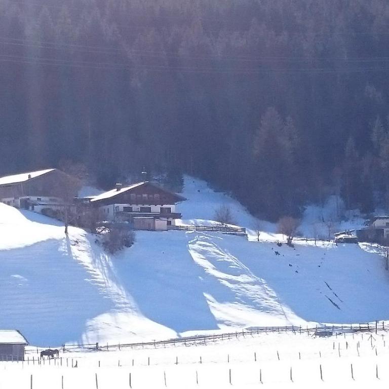 Fasserhof - Studio - Zwölferkogel - 4