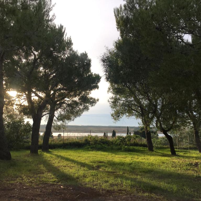 Agriturismo Il Piccolo Lago - Appartamento con Vista Giardino - 39