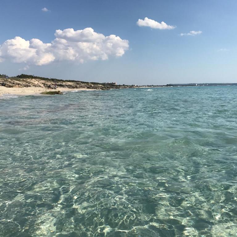 Attico In Riva al Mare - Appartamento con Vista Mare - 48