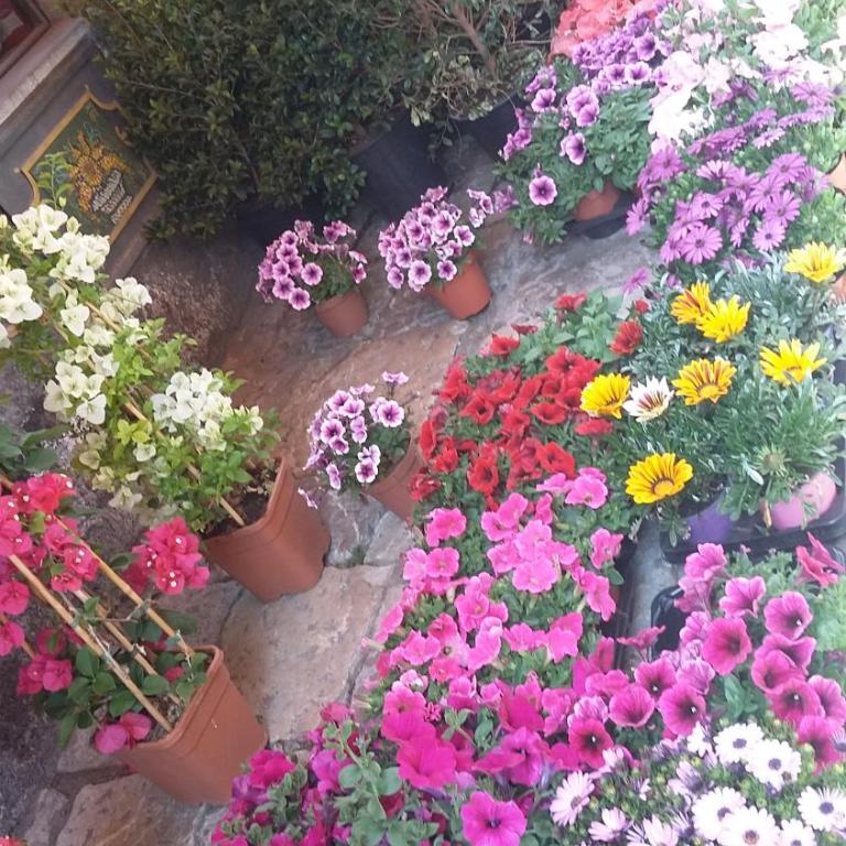 Taormina Rainbow House - Appartamento su 2 Livelli - 36