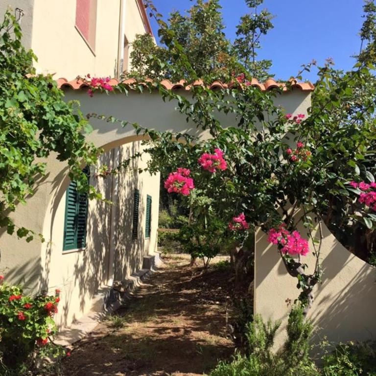 Surra Mediterranean Apartments - Appartamento con 1 Camera da Letto - 1