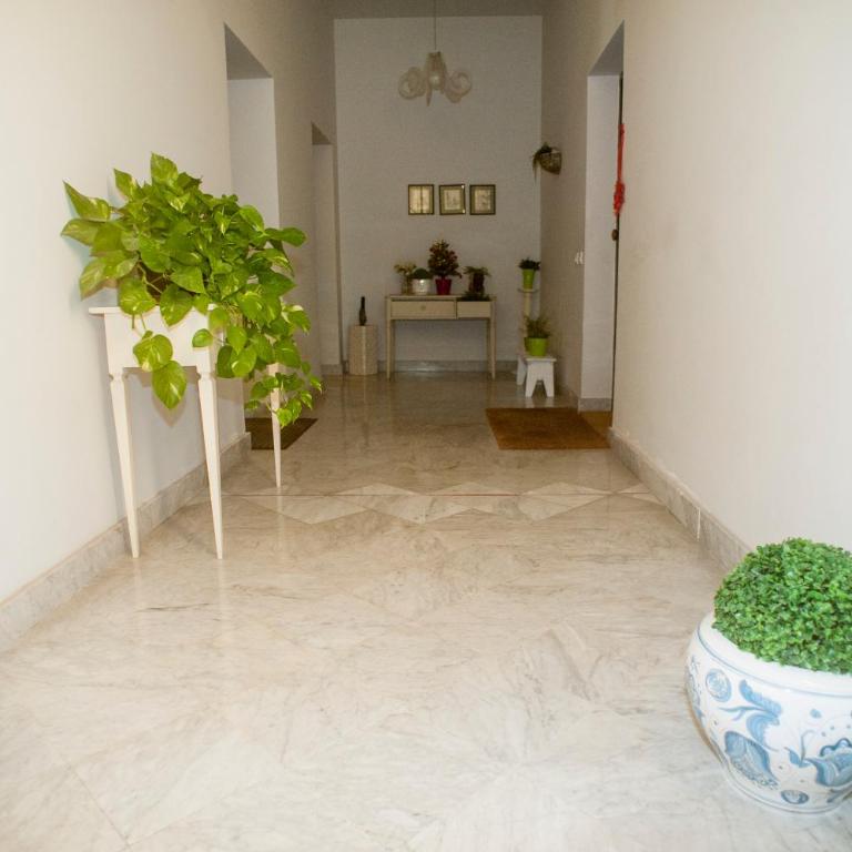 Cutelli Home Catania - Apartment - 50