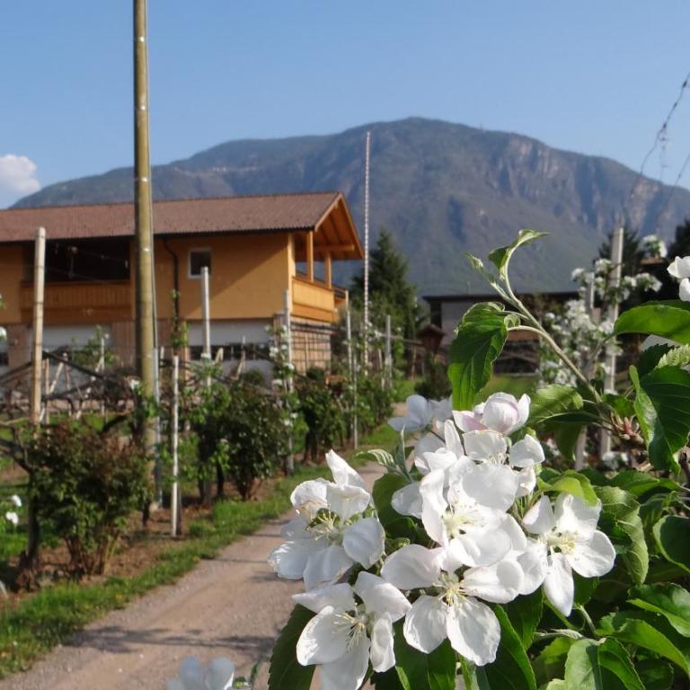 Urbanhof Prantenberger - Appartamento con 1 Camera da Letto (2 Adulti) - 1