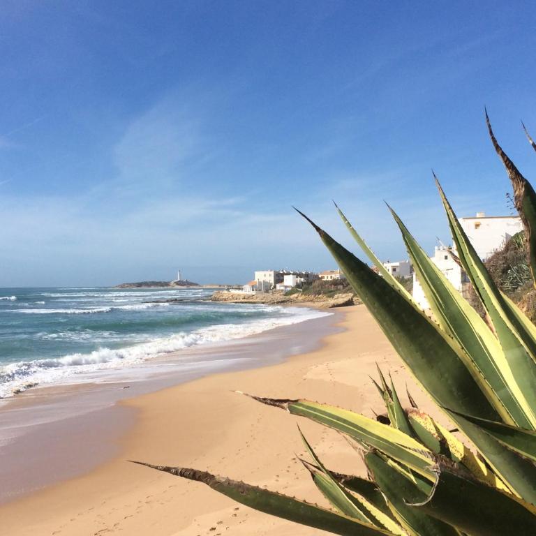 Atico Atlantico con Aparcamiento privado - Apartamento Ático - 28