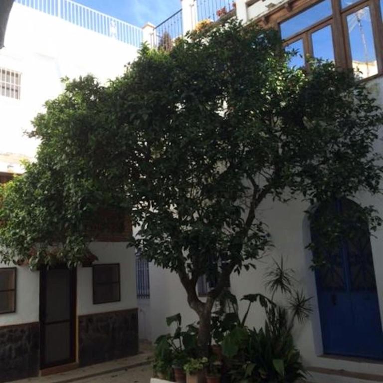 Atico Atlantico con Aparcamiento privado - Apartamento Ático - 23