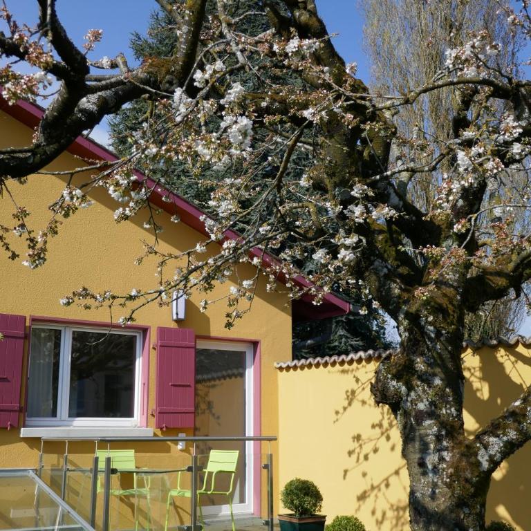 Swiss Borzoi House - Doppelzimmer mit Seeblick - 22