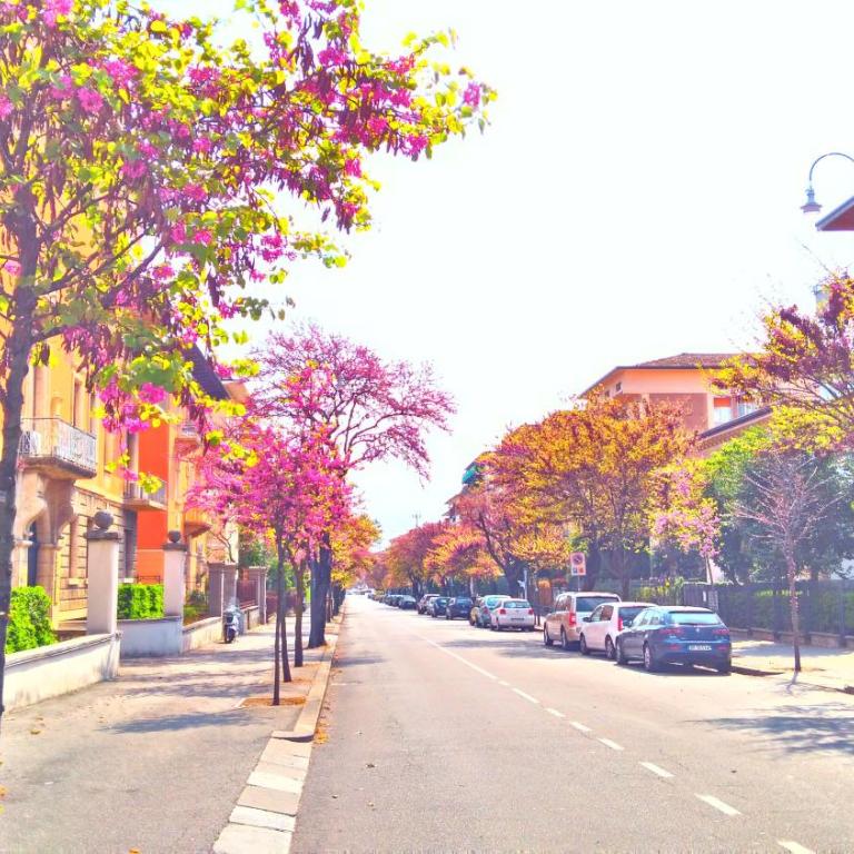 Across the River and Into the Trees - Appartamento con 1 Camera da Letto - 15