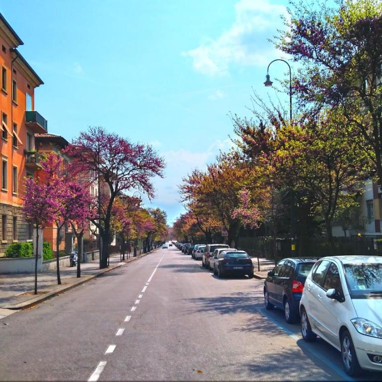 Across the River and Into the Trees - Appartamento con 1 Camera da Letto - 19
