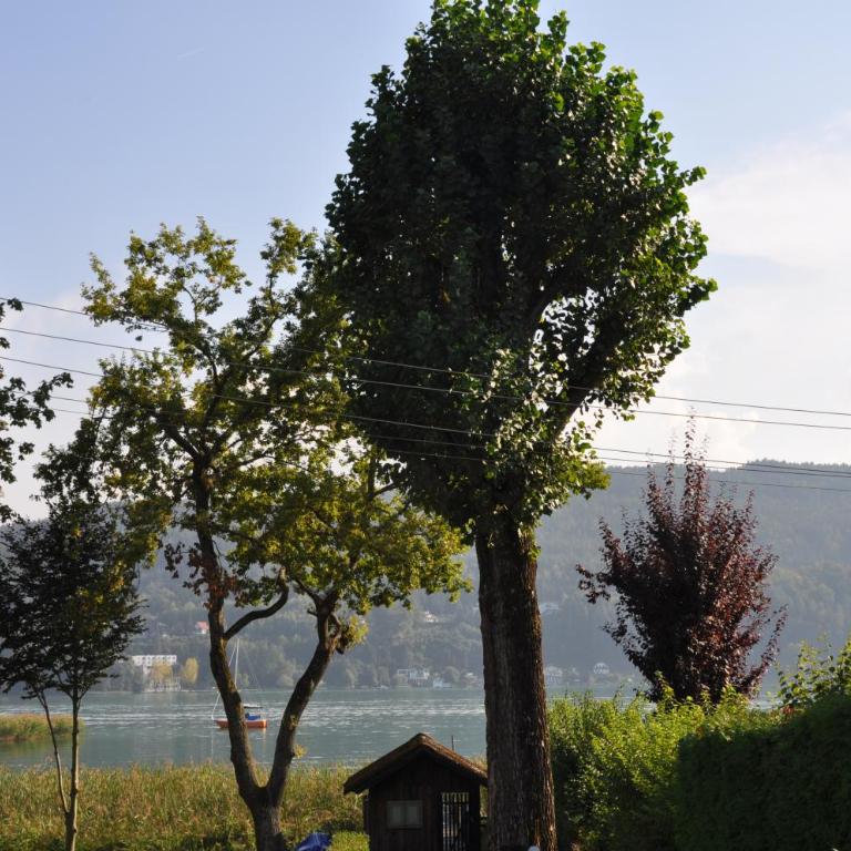 Seebungalows Wedenig direkt am See - Bungalow am Wasser - 33