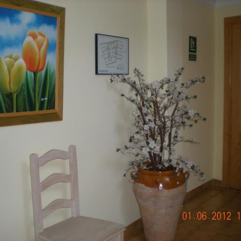 Apartamentos Casanova - Apartamento de 1 dormitorio (3-4 adultos) - 3