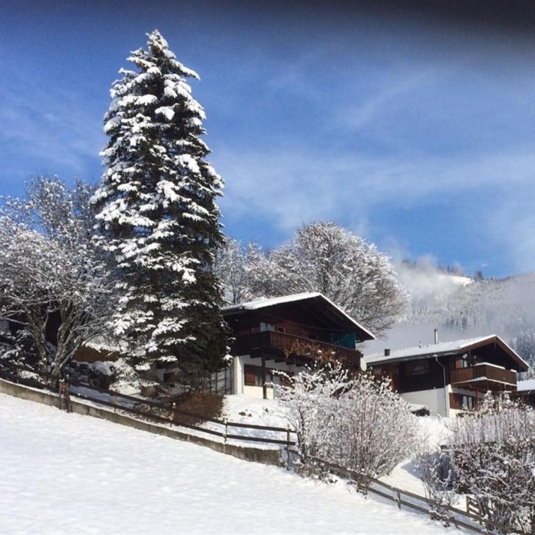 Chalet in Niedernsill near Zell am See Ski Area - Three-Bedroom Vacation Home - 27