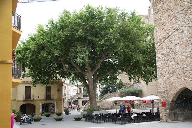 Acogedor apartamento en el centro de Llançà - Apartamento de 1 dormitorio - 18