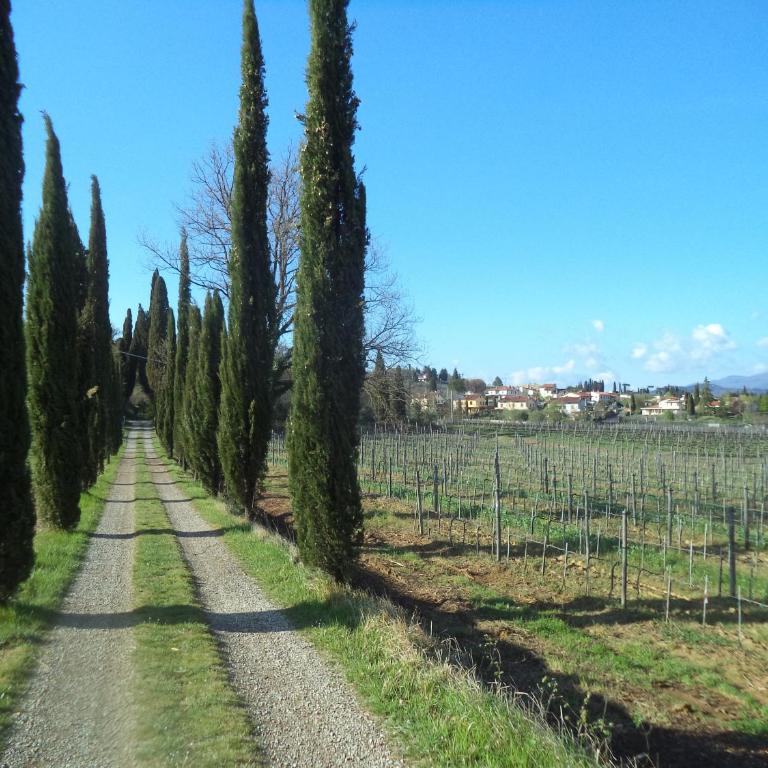 Agriturismo Albergotti - Appartamento con 2 Camere da Letto - 1