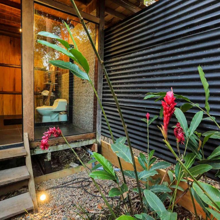 Kapievi Ecovillage - Superior Bungalow - 8