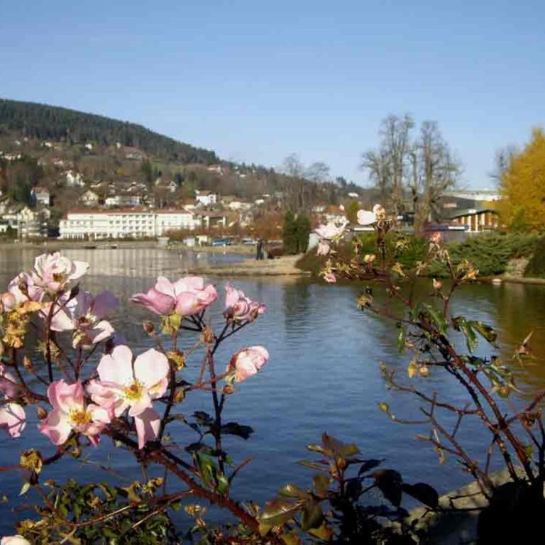 Villa Eden - Apartment mit 2 Schlafzimmern - 5