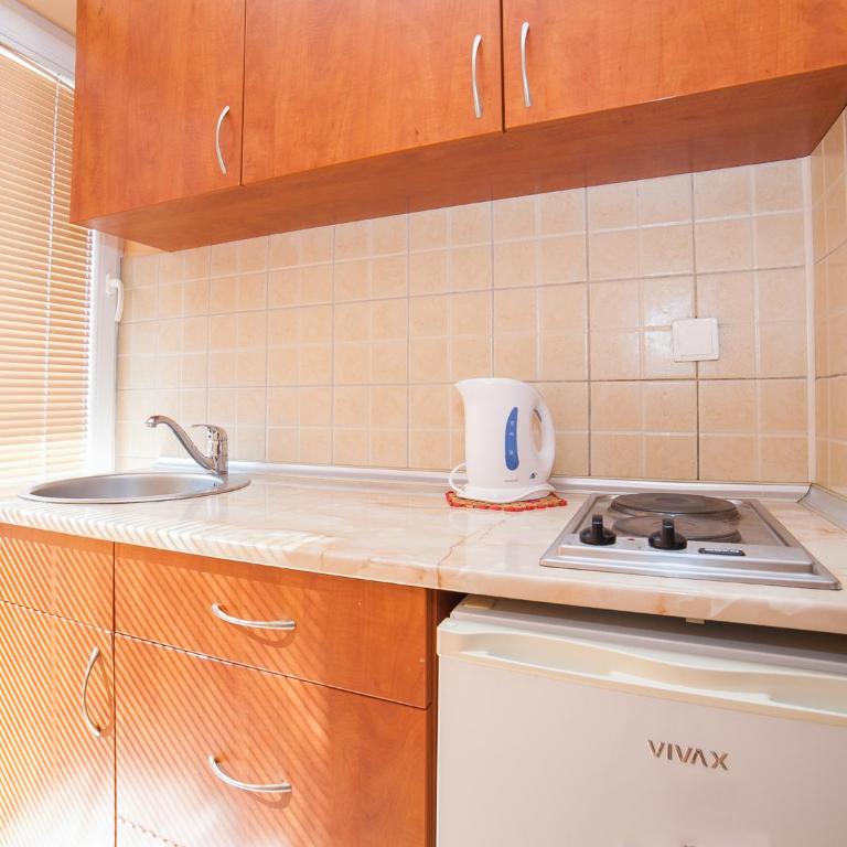 Apartments Franovic - Studio s Bračnim Krevetom - 6