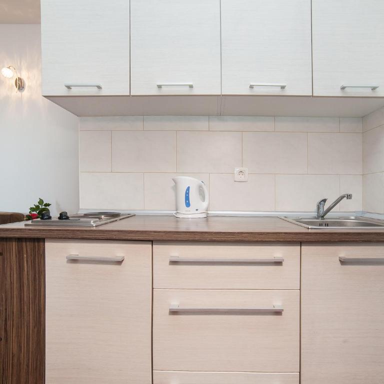 Apartments Franovic - Studio s Bračnim Krevetom - 7