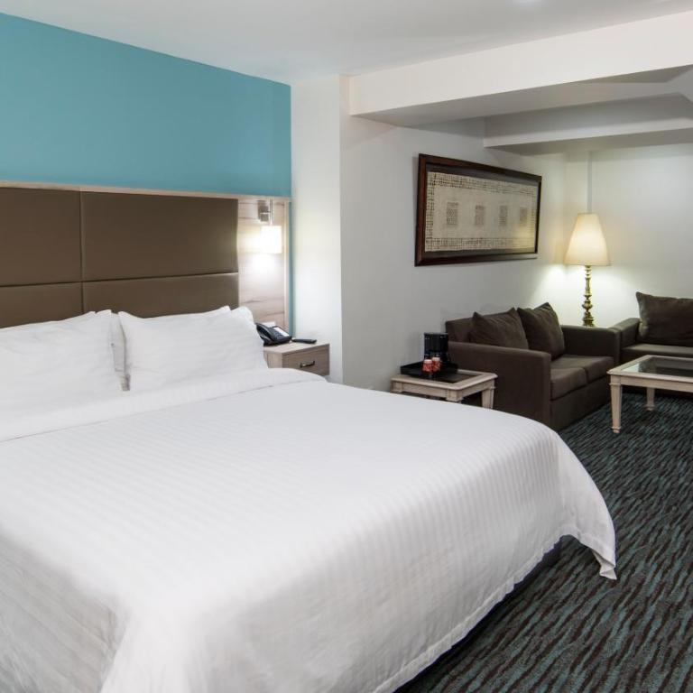 Holiday Inn & Suites Mexico Zona Reforma by IHG - King Suite - 1
