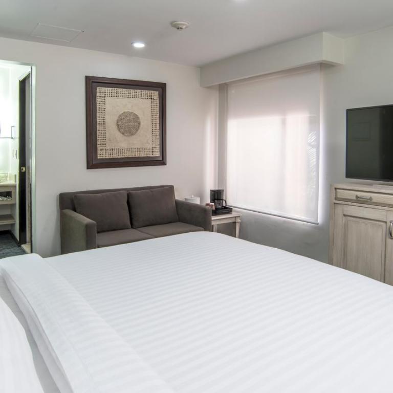 Holiday Inn & Suites Mexico Zona Reforma by IHG - Standard Room - 1