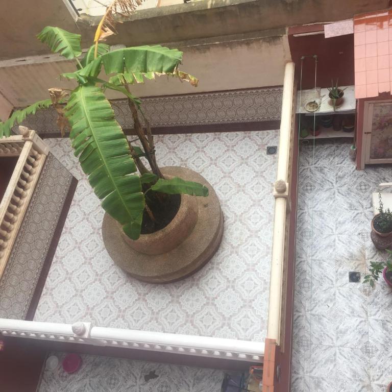 Apatament La Loma - Apartamento de 2 dormitorios - 56
