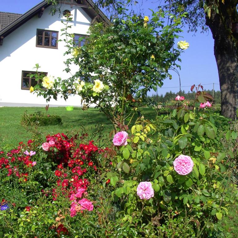 Ferienhaus Sonnhügel - Stissen - Apartamento con terraza - 18