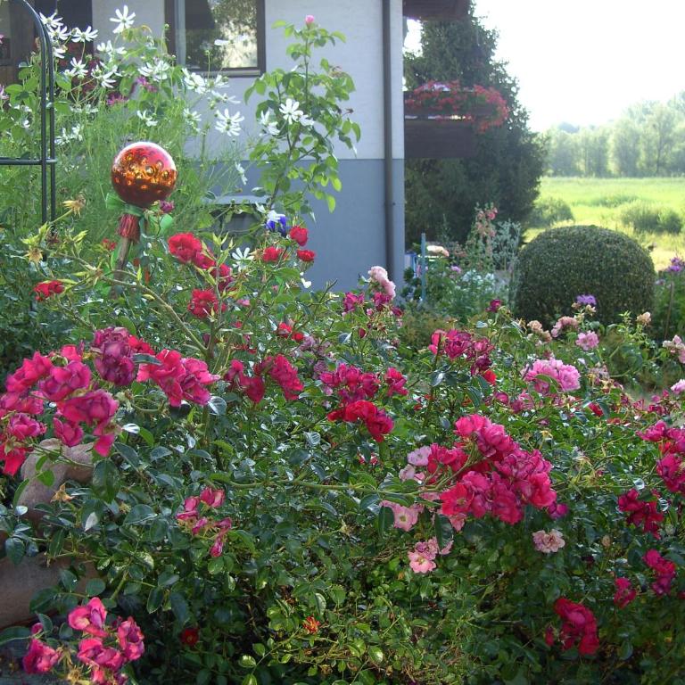 Ferienhaus Sonnhügel - Stissen - Apartamento con terraza - 16