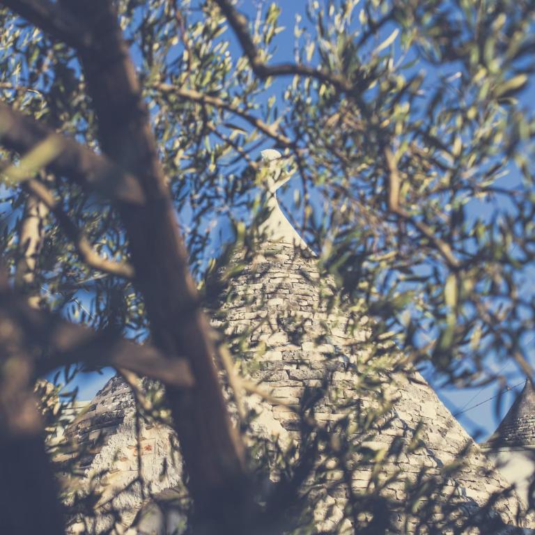 Trullo del Sorriso - Casa Vacanze - 5
