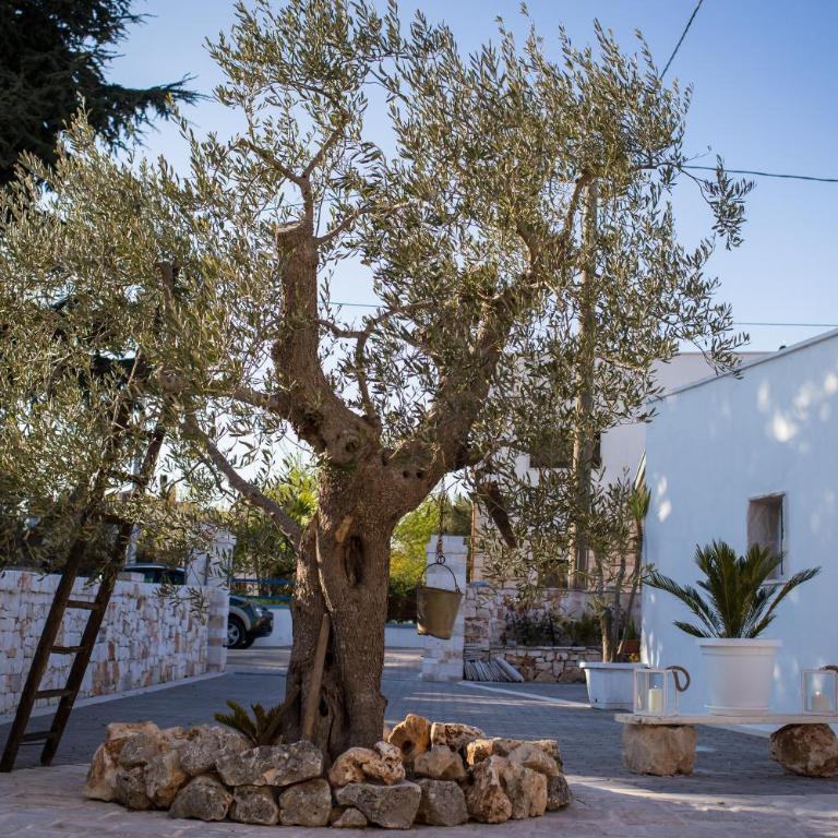 Trullo del Sorriso - Casa Vacanze - 7