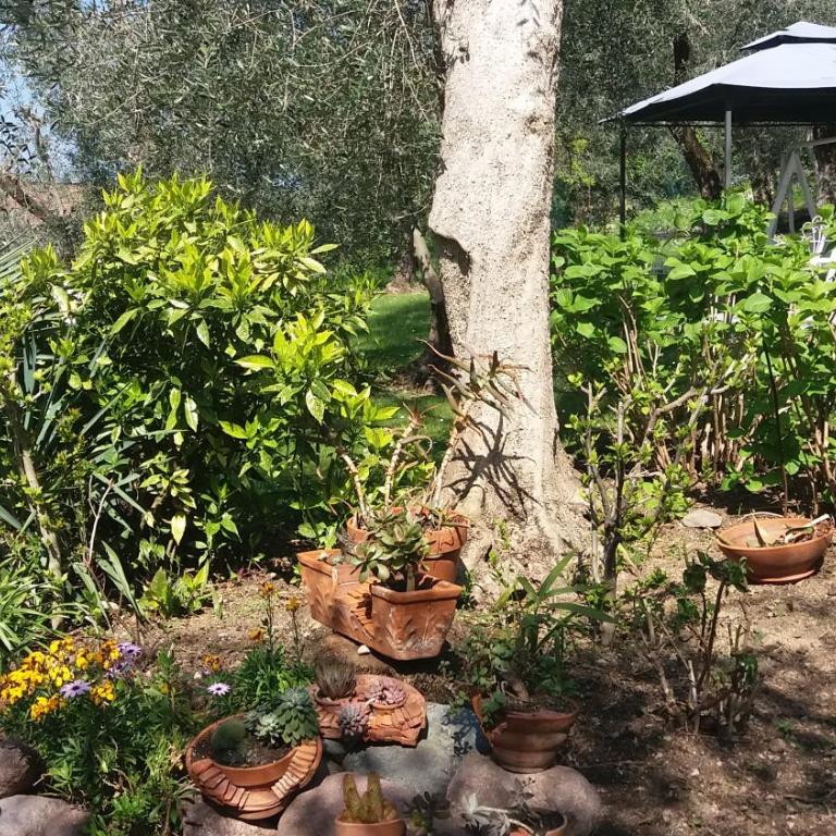 Casa Valenti - Appartamento con 1 Camera da Letto - 48