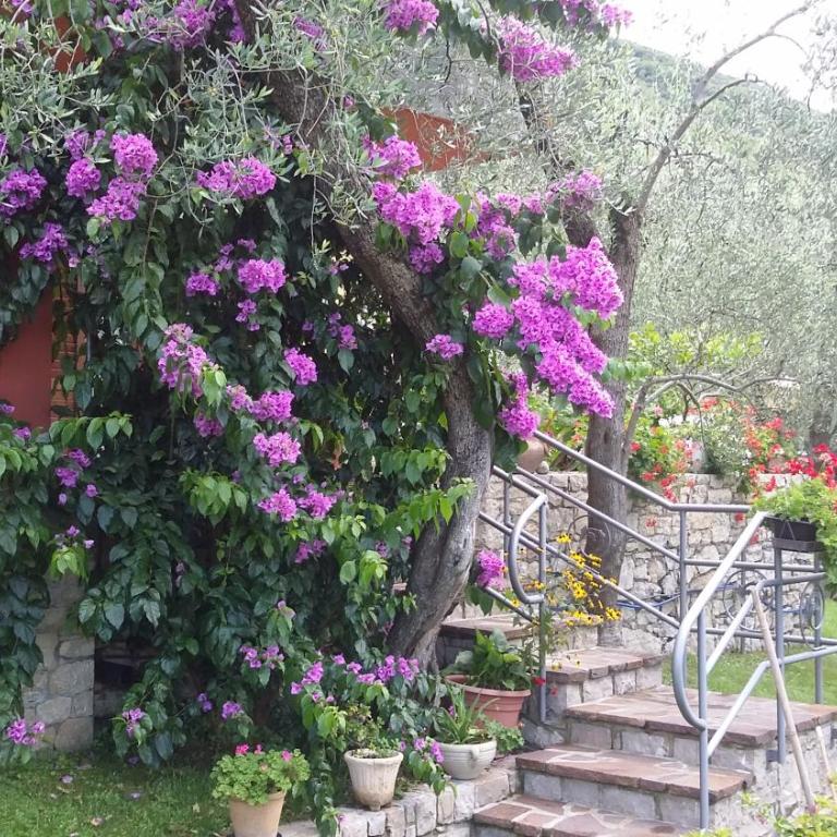Casa Valenti - Appartamento con 1 Camera da Letto - 44