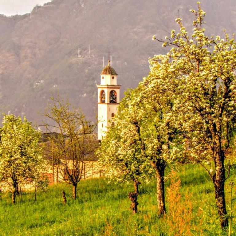 Residenza Christian - Appartamento con 1 Camera da Letto - 14