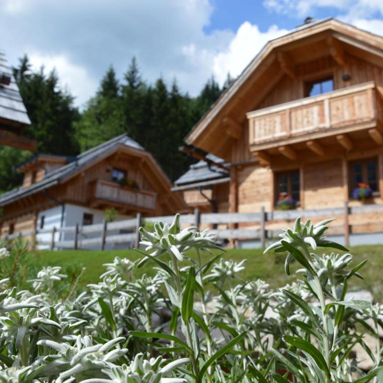 Bergdorf Riesner - Wellness-Chalet - 11