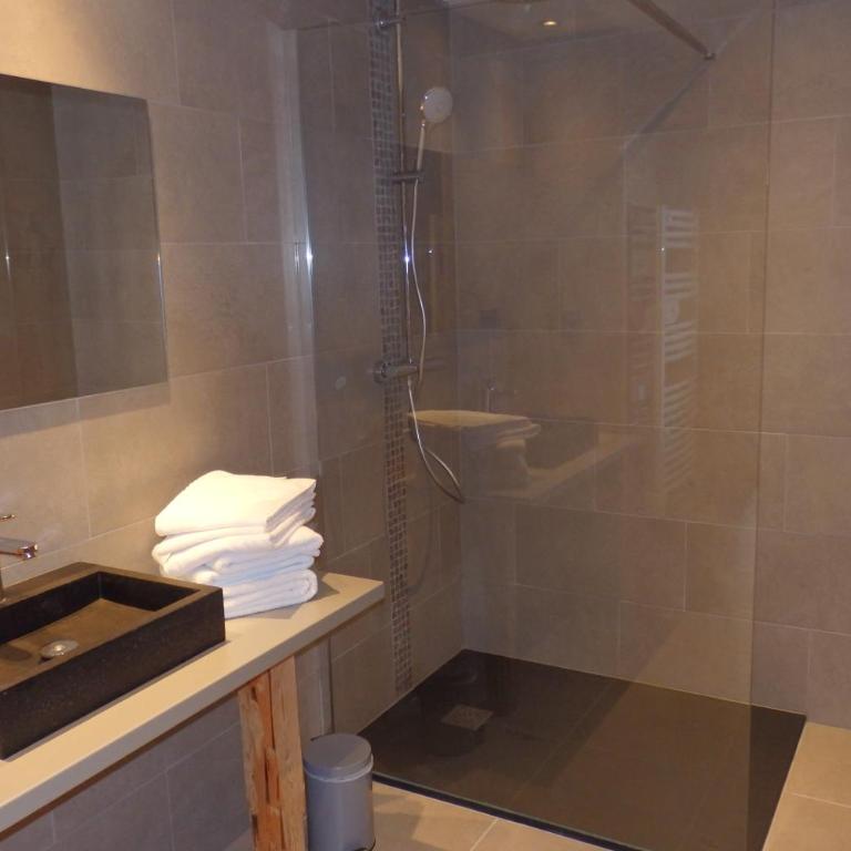 Hôtel Viallet - Chambre Deluxe - 4