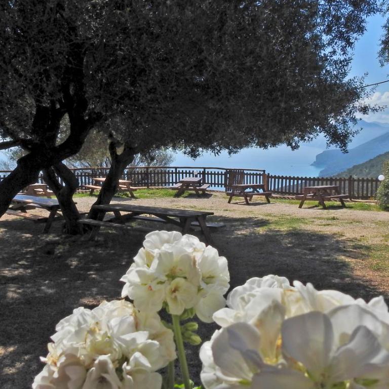 Agriturismo Codula Fuili - Camera Matrimoniale con Bagno Privato - 1