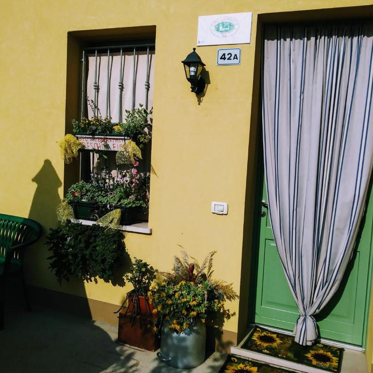 B&B Peschi in Fiore - Camera Matrimoniale Standard con Bagno in Comune - 2
