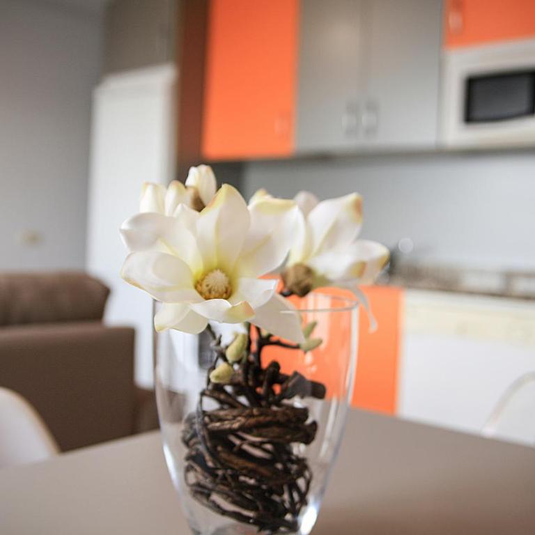 Jovia Vacacional El Cotillo - Apartamento de 2 dormitorios - 11