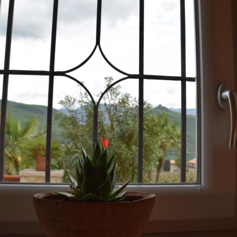 Leuchtenhof - Apartment mit Seeblick - 7