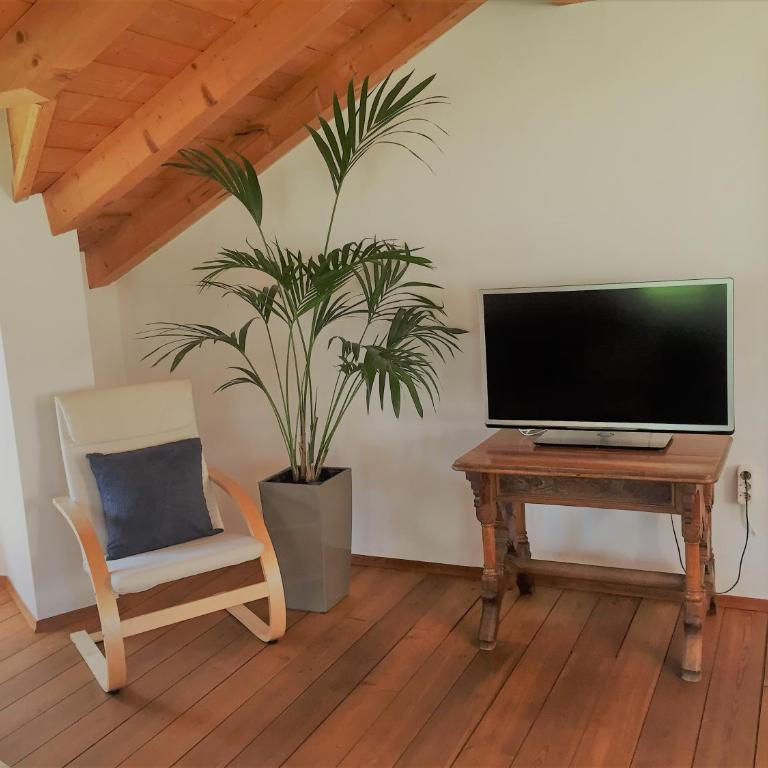 Ferienwohnung Eichnerhof - Appartamento con Terrazza - 14