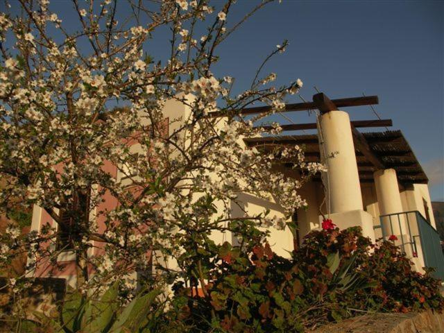 Villa Hermes Case Vacanza - Casa Vacanze - 21