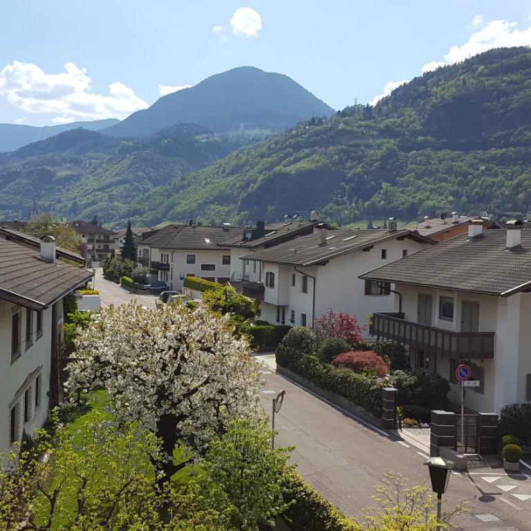 SonnenApartment - Appartamento con Vista Montagna - 31