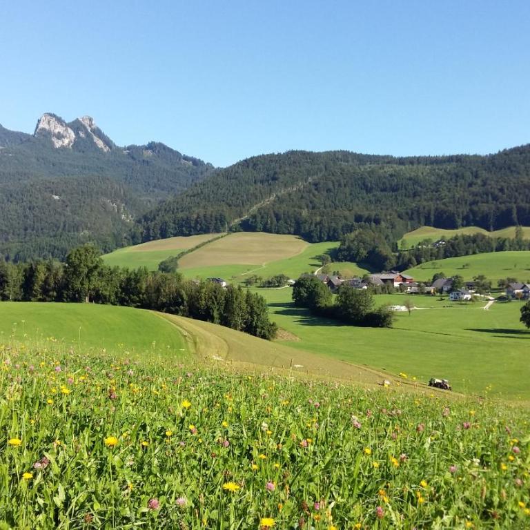 Weinbachbauer - Urlaub am Bauernhof - Komfort Doppelzimmer - 3