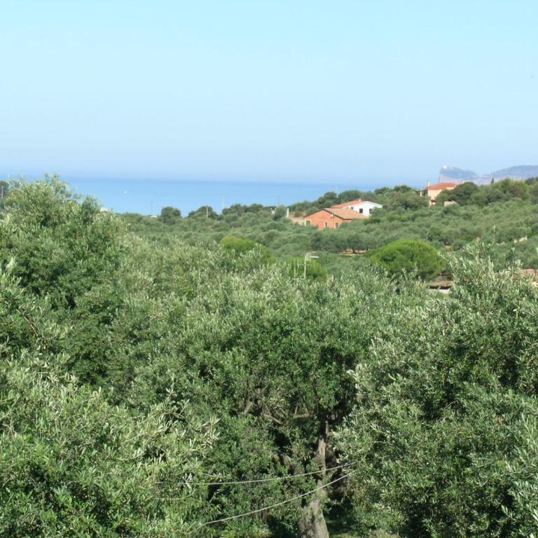 villa la Scaletta - Villa con Piscina Privata - 42