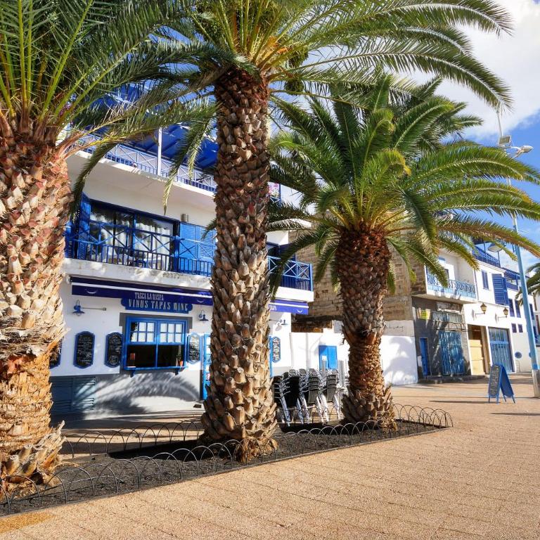 Top Charco San Gines Stunning View Lanzarote By PVL - Apartamento con vistas al mar - 12