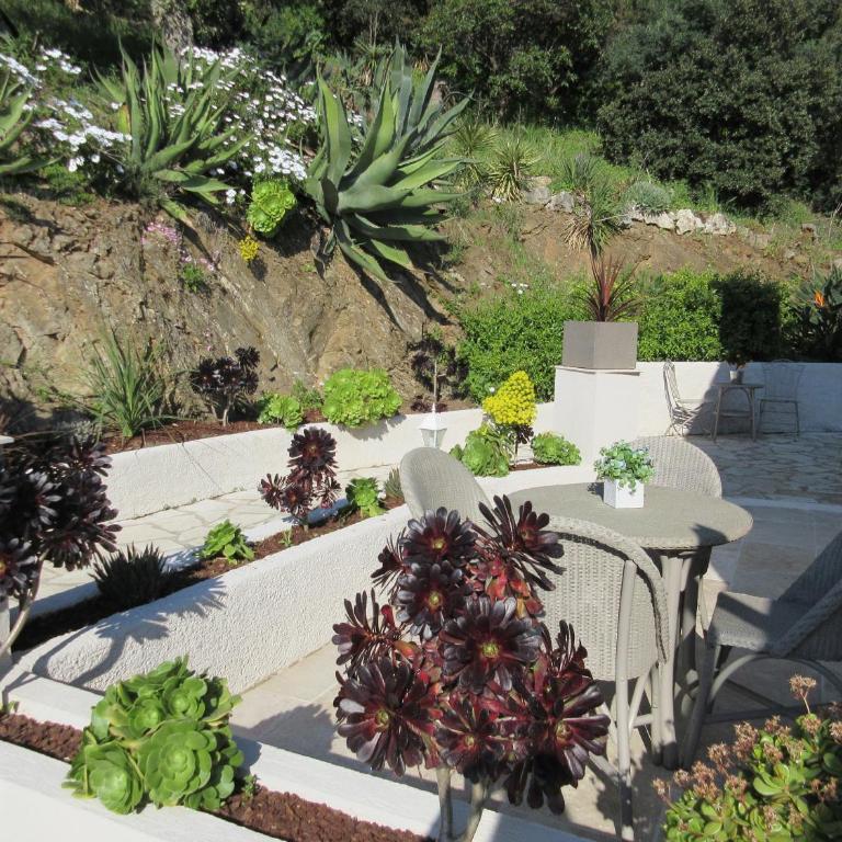 Villa Tricoli B&B avec Piscine - Suite 4 Personnes - 4