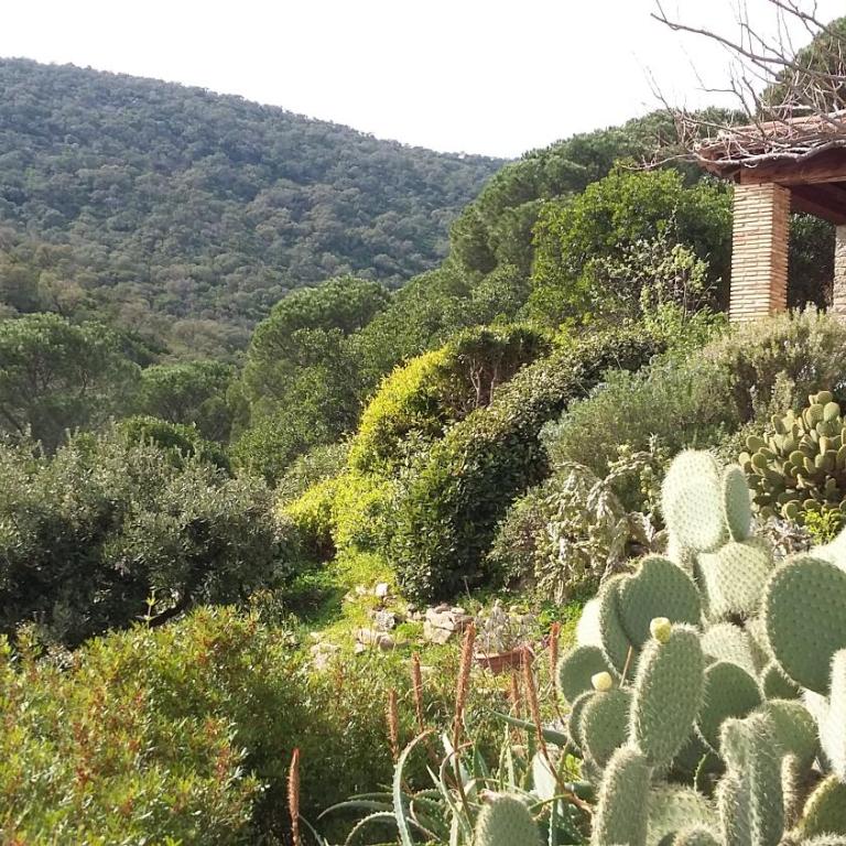 Massacan-Vue Mer - Suite de 2 dormitorios - 31